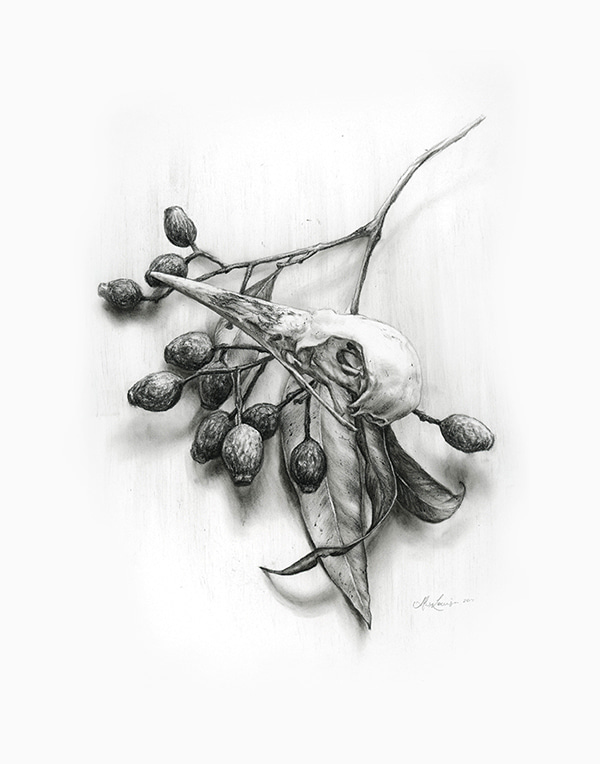 Fragments (study) by Alex Louisa | Lethbridge Gallery